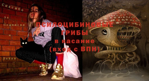 мдма Белокуриха