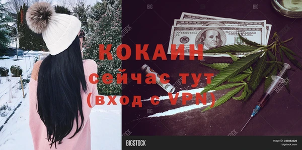 стаф Снежногорск