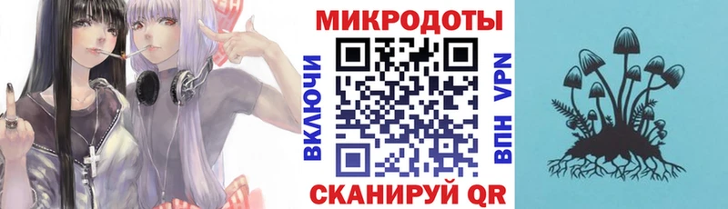 Псилоцибиновые грибы мухоморы  сколько стоит  даркнет телеграм  Острогожск 