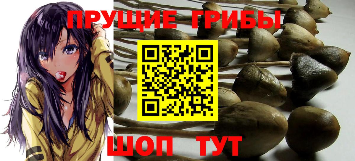 Псилоцибиновые грибы Psilocybe  Галлюциногенные грибы Magic Shrooms  Острогожск  Вход с VPN 